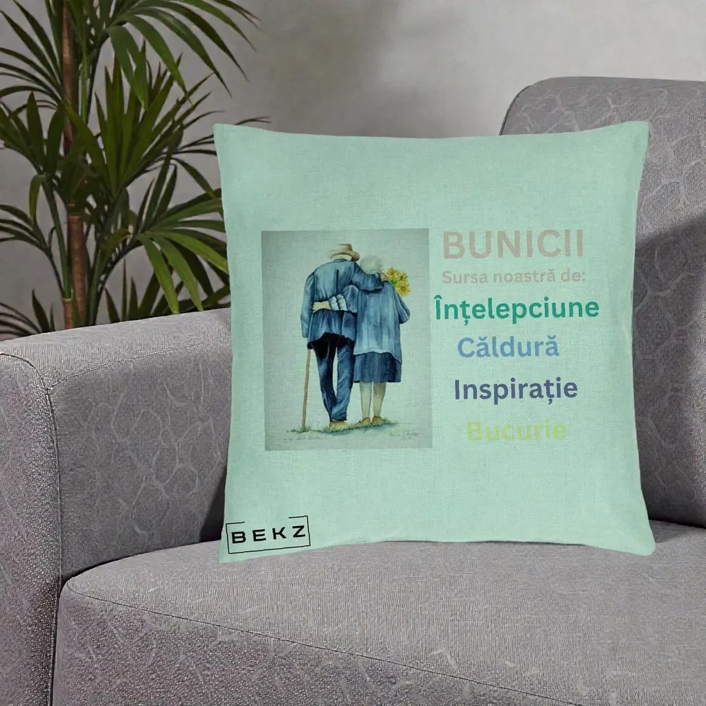 Cadou pentru Bunici - Perna Personalizata Bunicii Sursa Intelepciune Caldura Acuarela, 40x40 cm, Verde Menta, Husa Detasabila, Perna Inclusa, BEKZ®