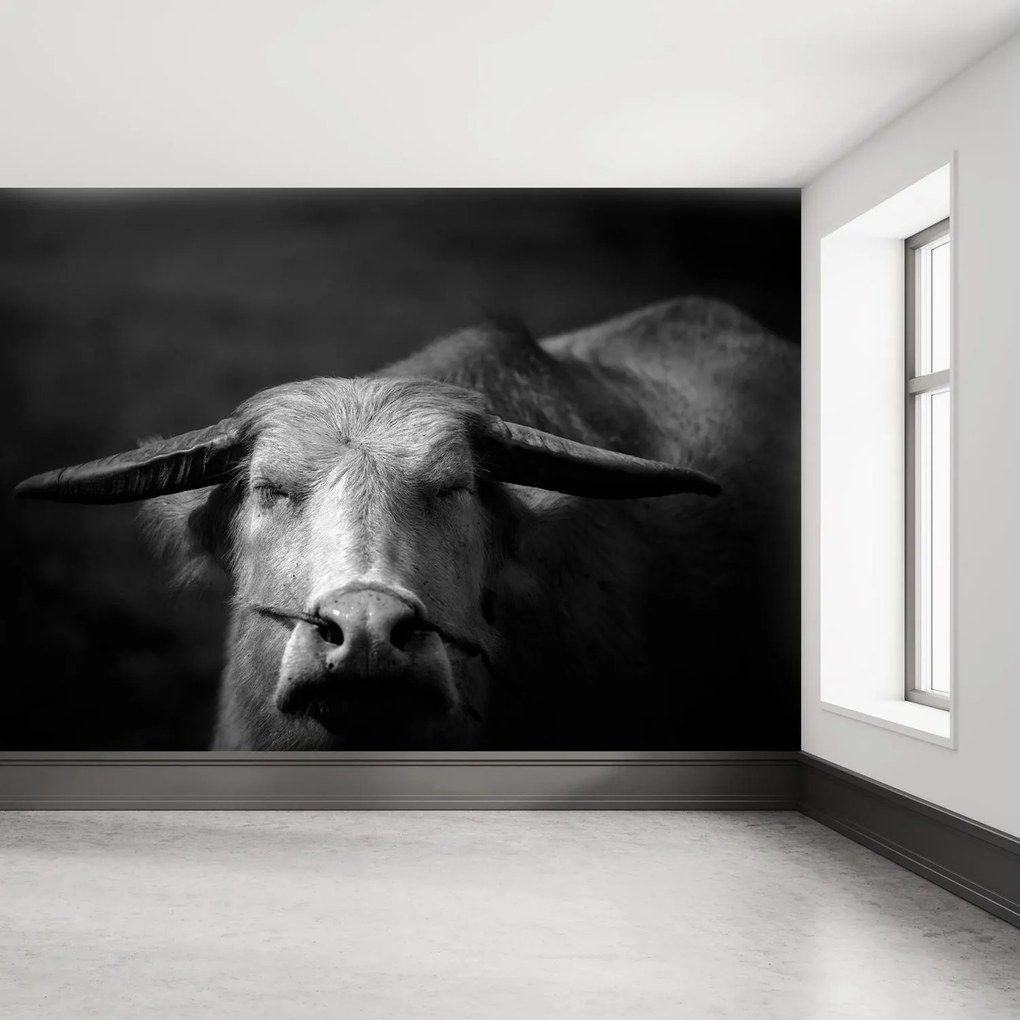 Fototapet - Vacă (147x102 cm)