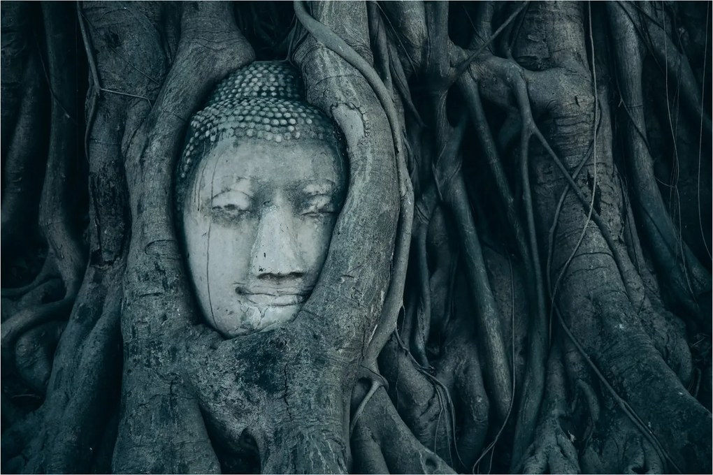 Tablou - Fața Thailandeză (90x60 cm)