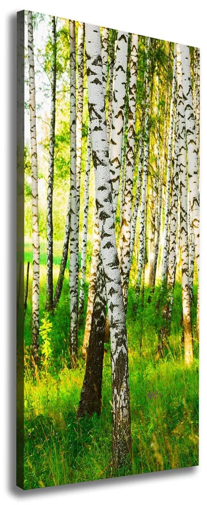 Print pe canvas Pădurea de mesteacăn