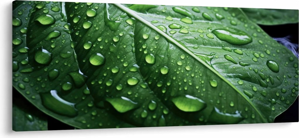 Tablou - Detaliu de frunze după ploaie (120x50 cm)