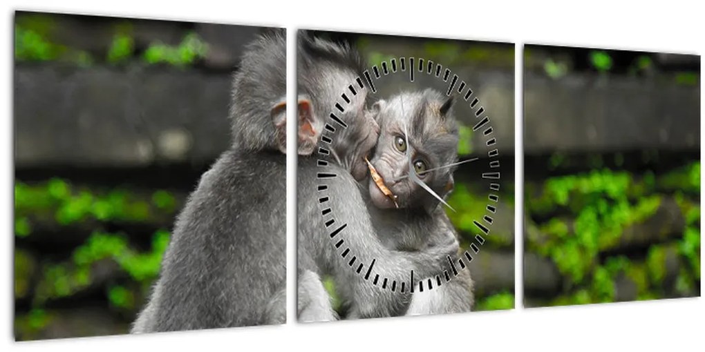 Tablou - maimuțica (cu ceas) (90x30 cm)