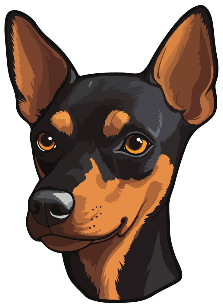 PIPPER. Autocolant Pinscher miniatural mărimea: 60cm
