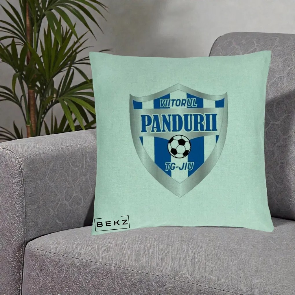 Perna Personalizata Pandurii Targu Jiu Fotbal, 40x40 cm, Verde Menta, Husa Detasabila, Perna Inclusa, BEKZ®
