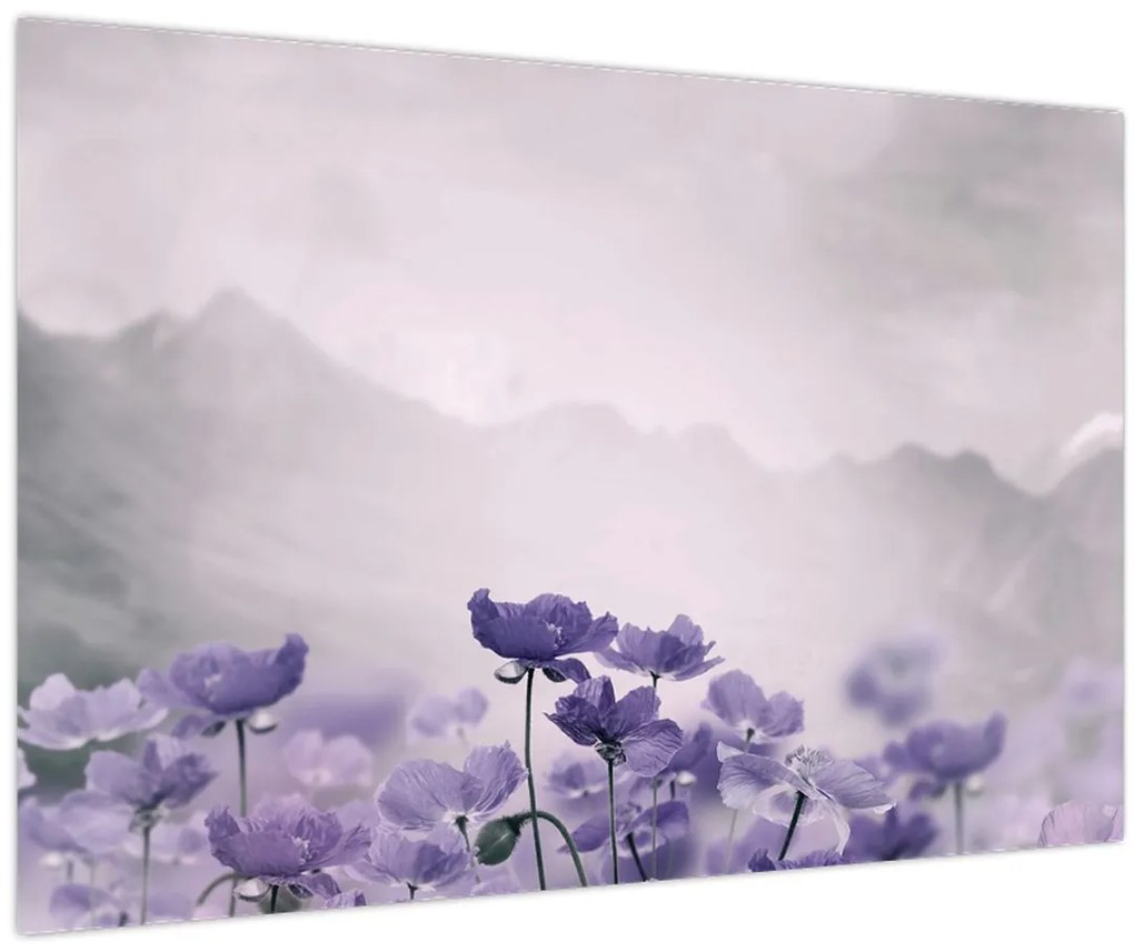 Tablou - Flori mov în munți (90x60 cm)