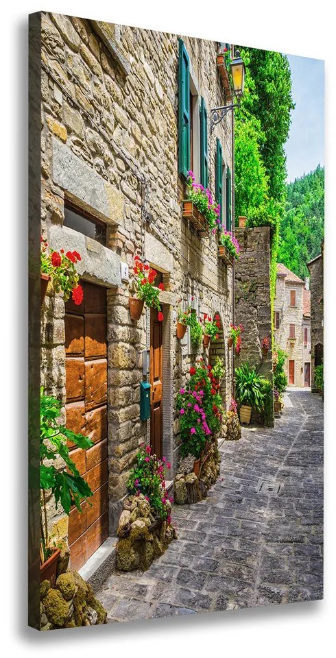 Imprimare tablou canvas Stradă fermecătoare