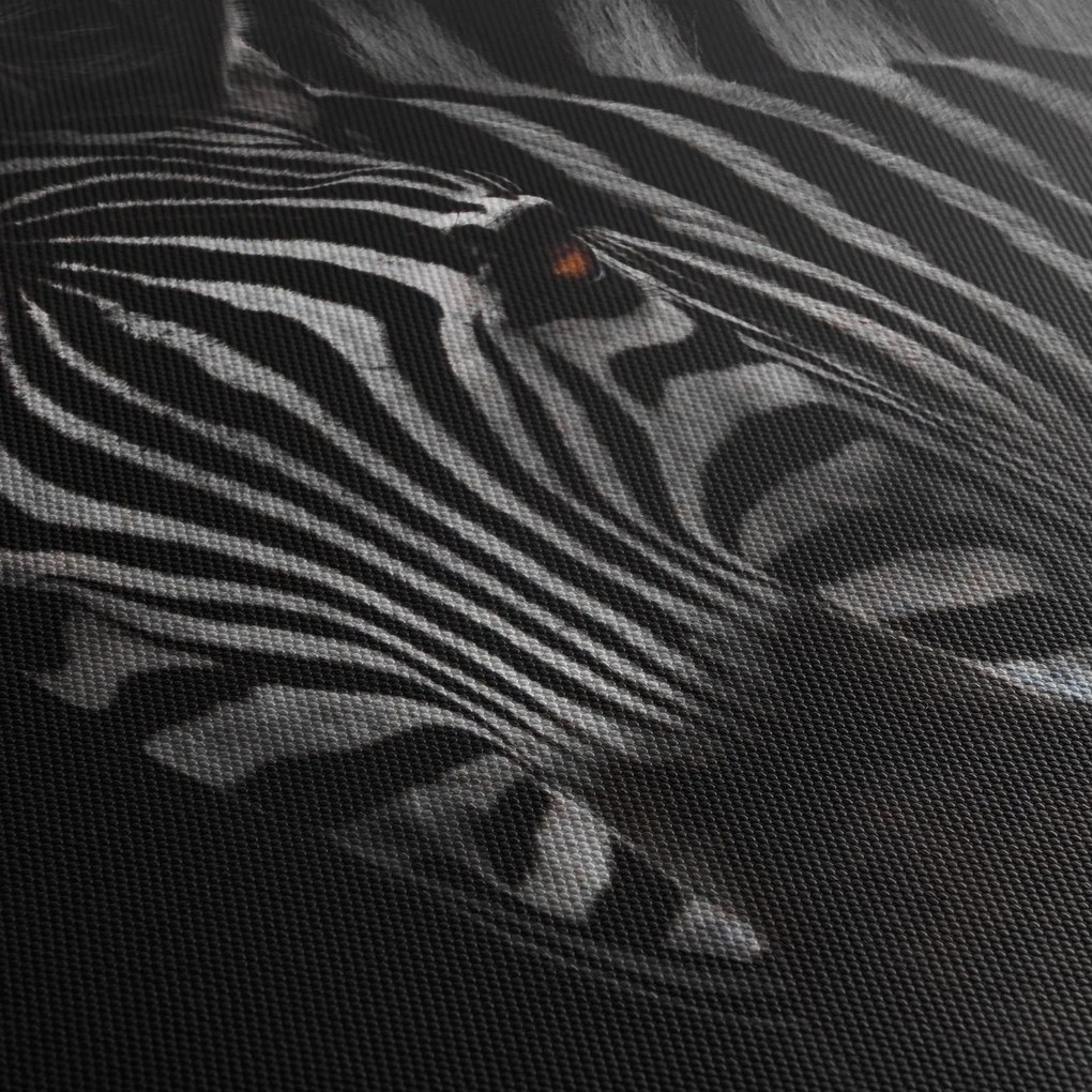 Tablou cu zebră (120x50 cm)
