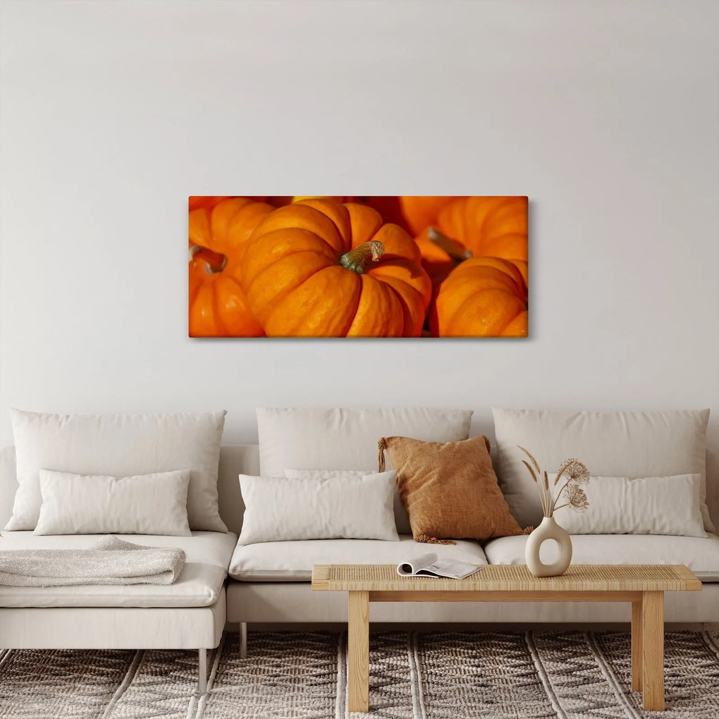 Tablou - Dovleci mari (120x50 cm)