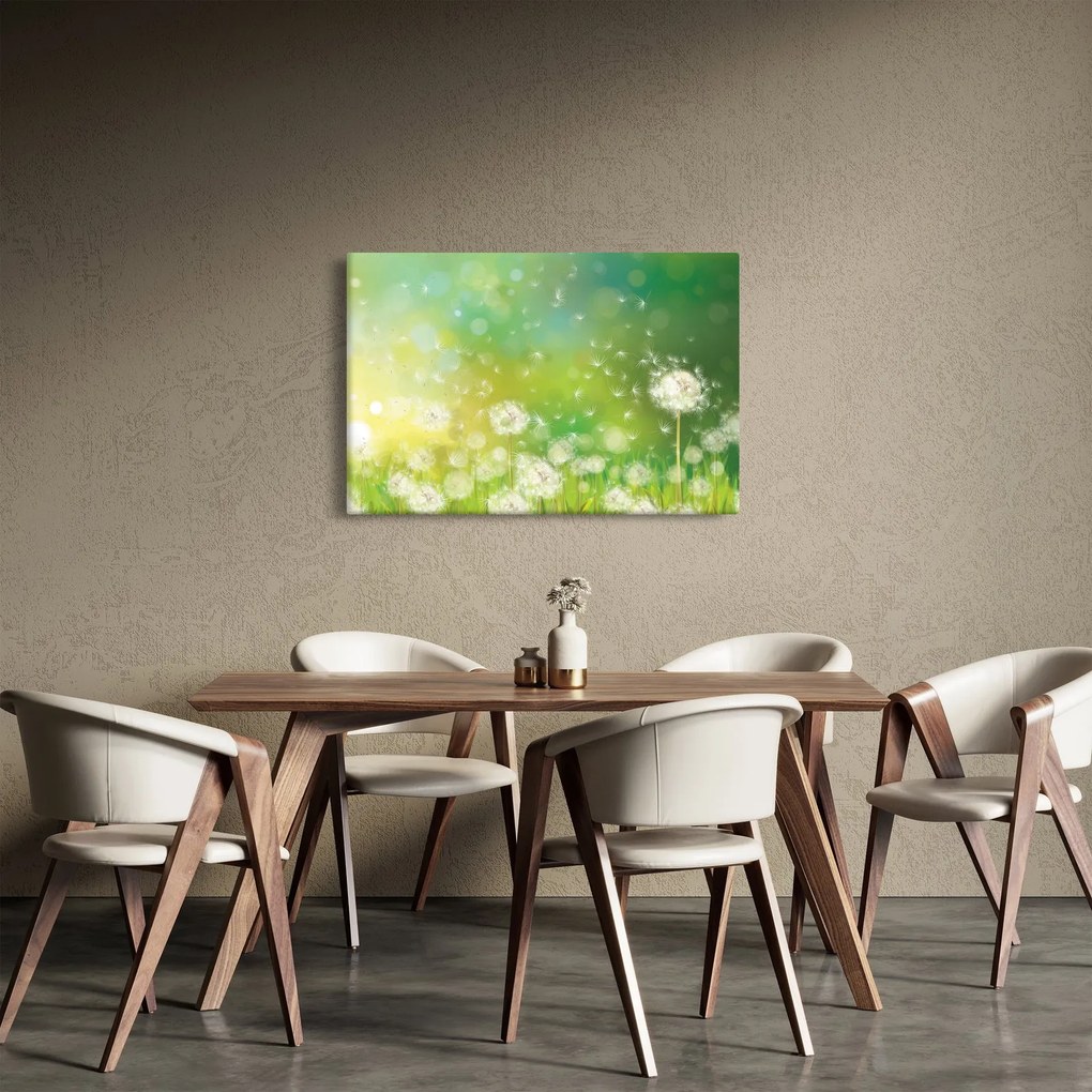 Tablou - Păpădie înflorită (90x60 cm)