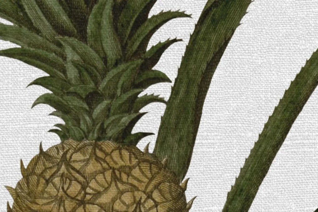 Tapet Pineapple, Rebel Walls