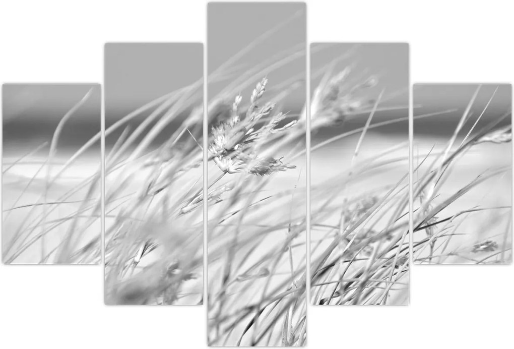 Tablou - Iarbă de plajă (150x105 cm)