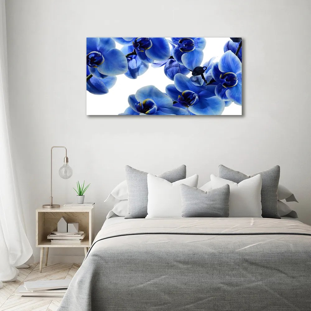 Imprimare tablou canvas Albastru orhidee