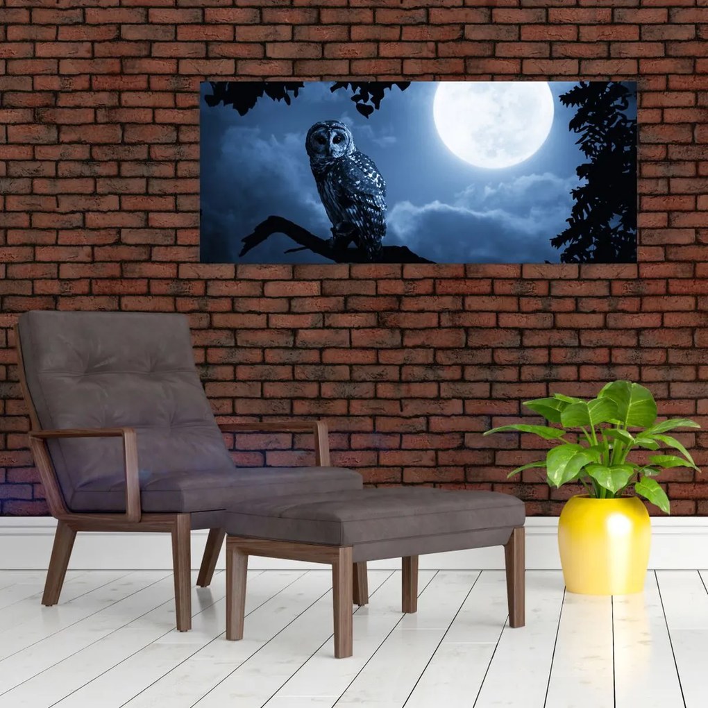 Tablou - Bufnița de noapte (120x50 cm)