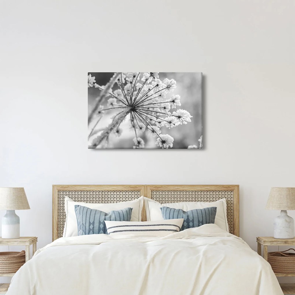 Tablou - Floare în timpul iernii (90x60 cm)
