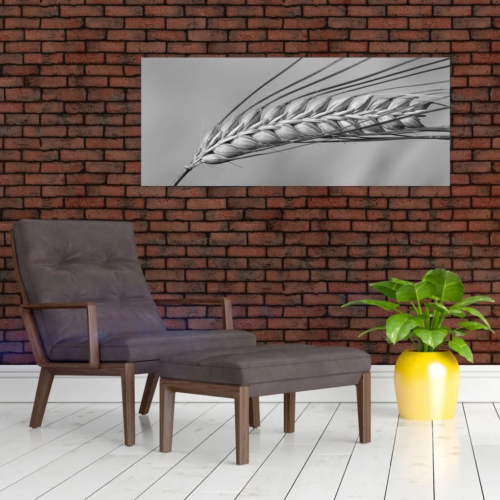 Tablou - Grâu,alb-negru (120x50 cm)