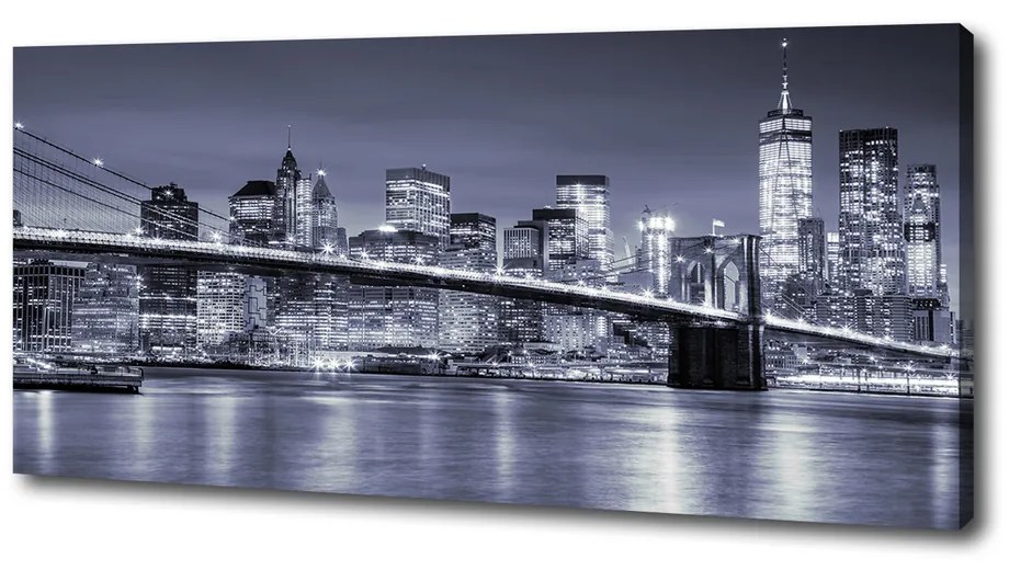 Tablou canvas Manhattan new york city