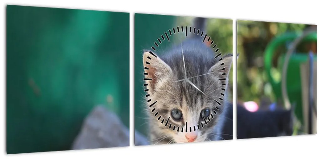 Tablou cu pisicuțe (cu ceas) (90x30 cm)