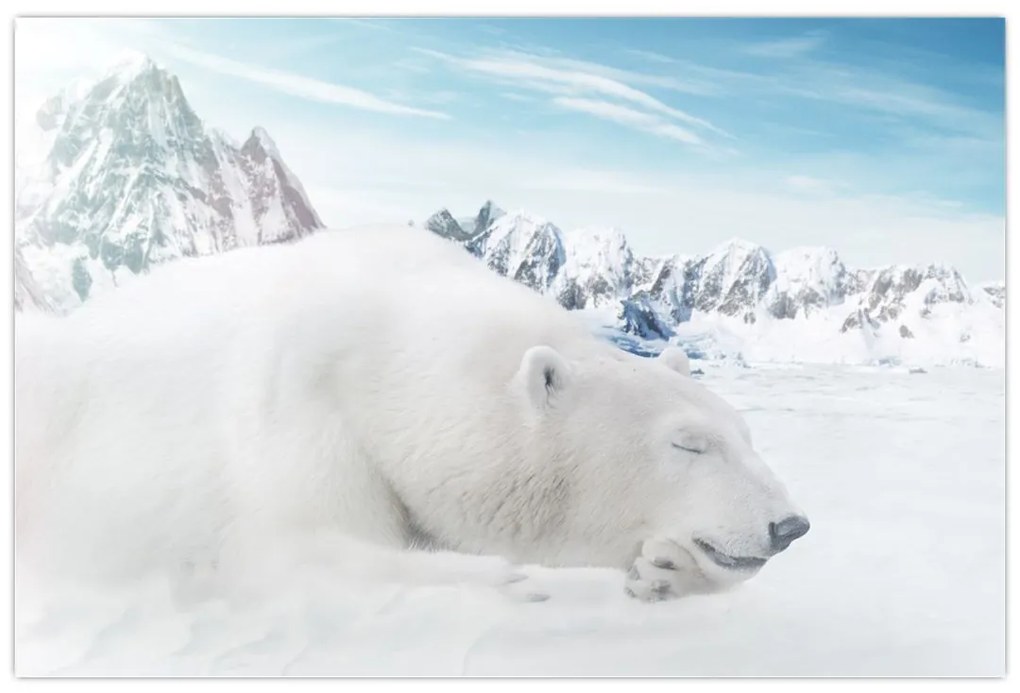 Tablou - Urs polar (90x60 cm)