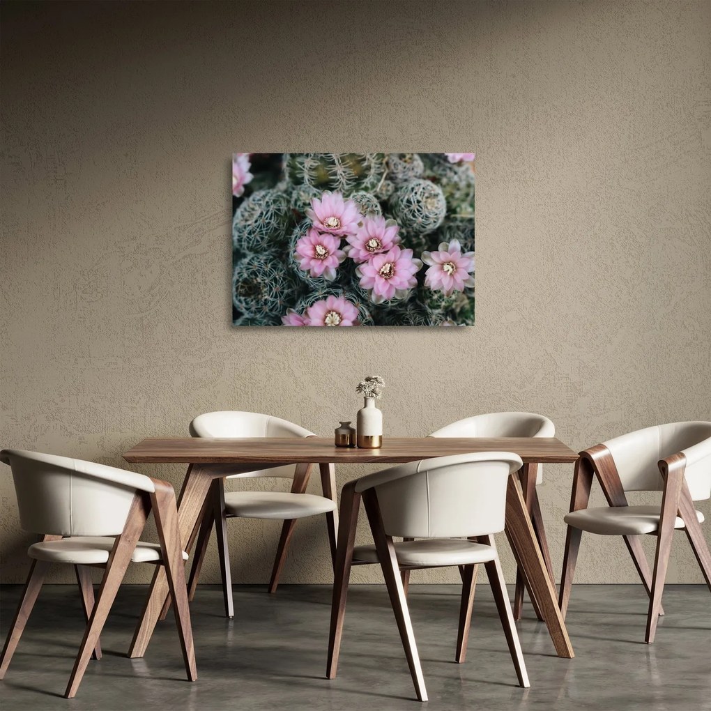 Tablou pe sticlă floare de cactus (70x50 cm)