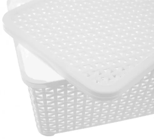 Orion Box cu capac RATAN, 10 l, alb