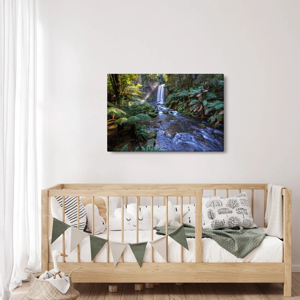 Tablou cu pădurea ploilor din Austalia (90x60 cm)
