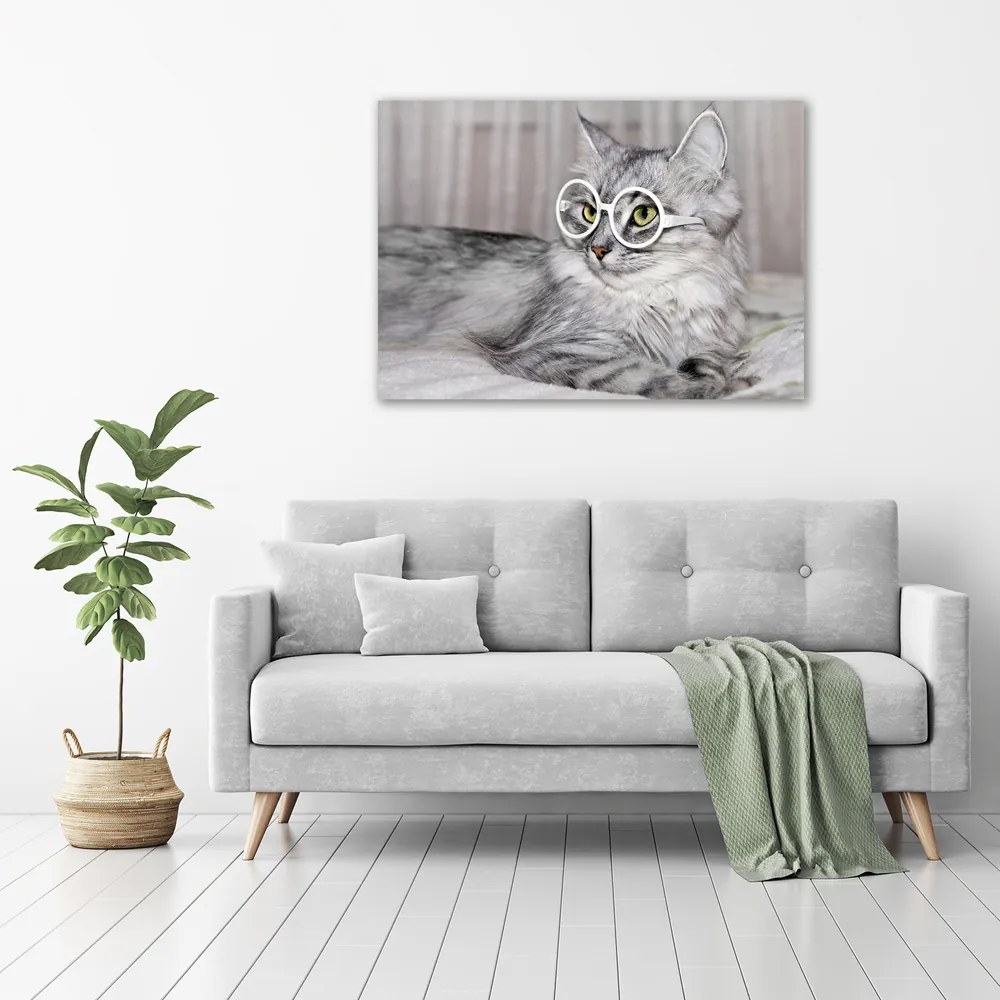Imprimare tablou canvas Cat cu ochelari
