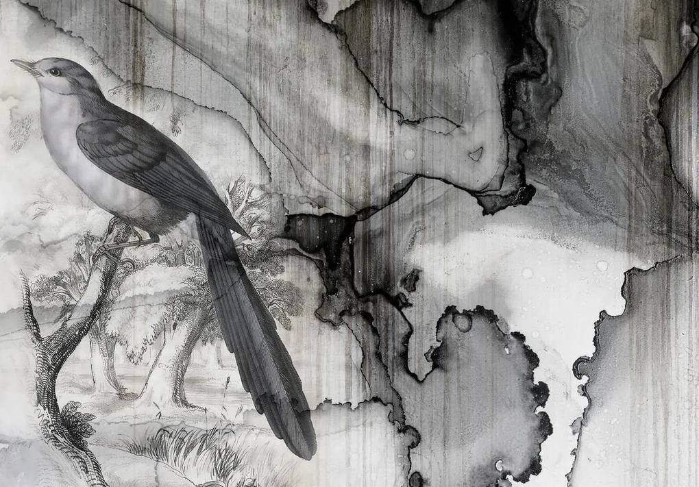 Fototapet - Pasărea - cerneala vărsată (152,5x104 cm), în 8 de alte dimensiuni noi
