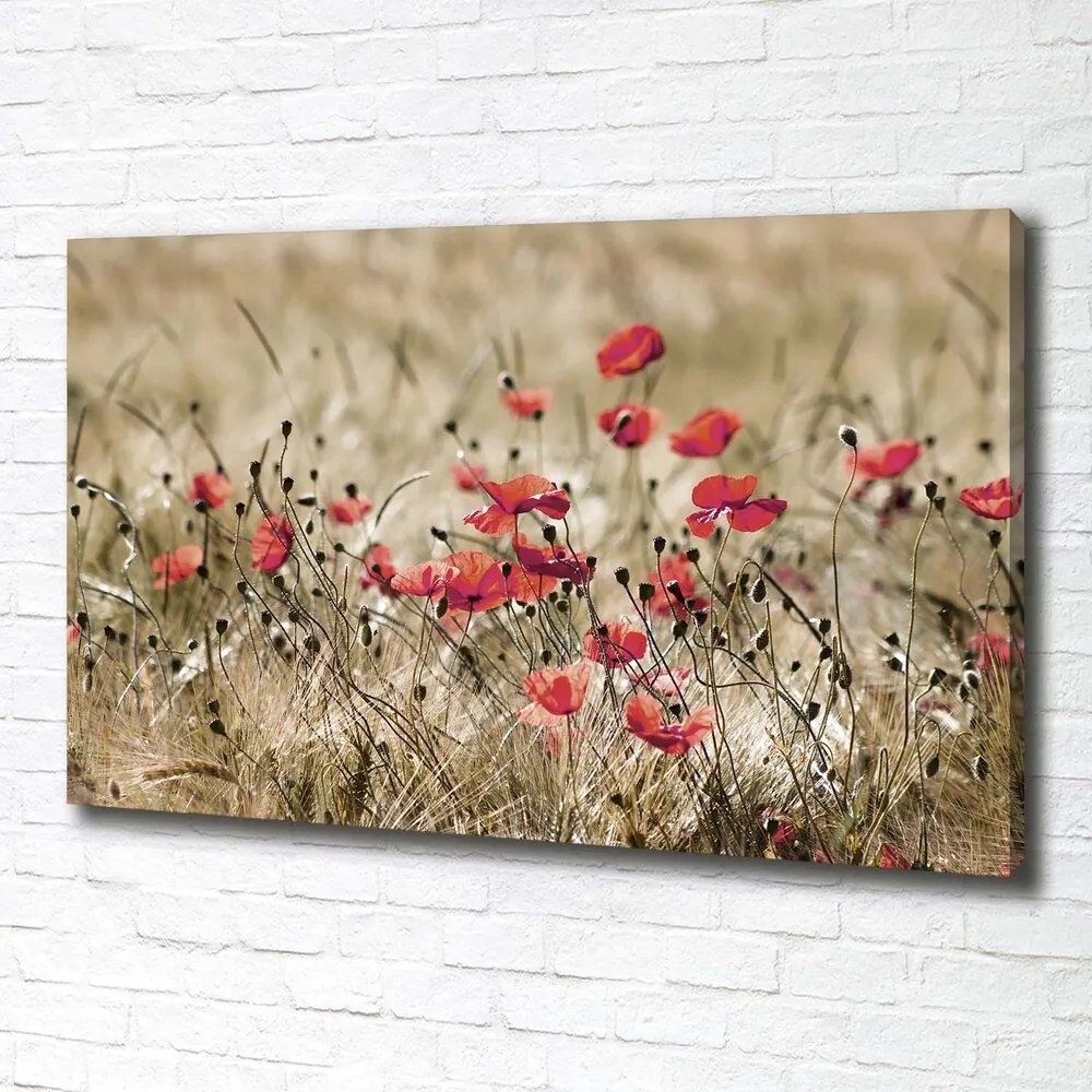 Tablou pe pânză canvas Maki