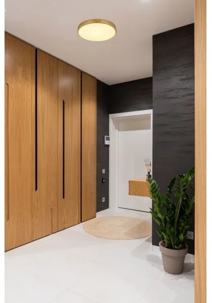 Plafonieră LED TIBEY LED/22W/230V d. 35 cm Globo 12381-22