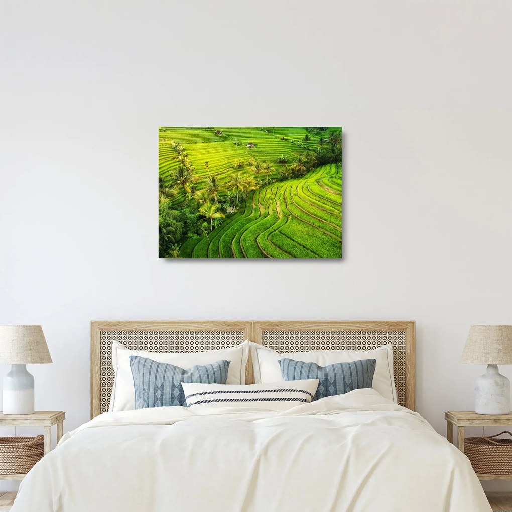 Tablou pe sticlă - Terase de orez (70x50 cm)