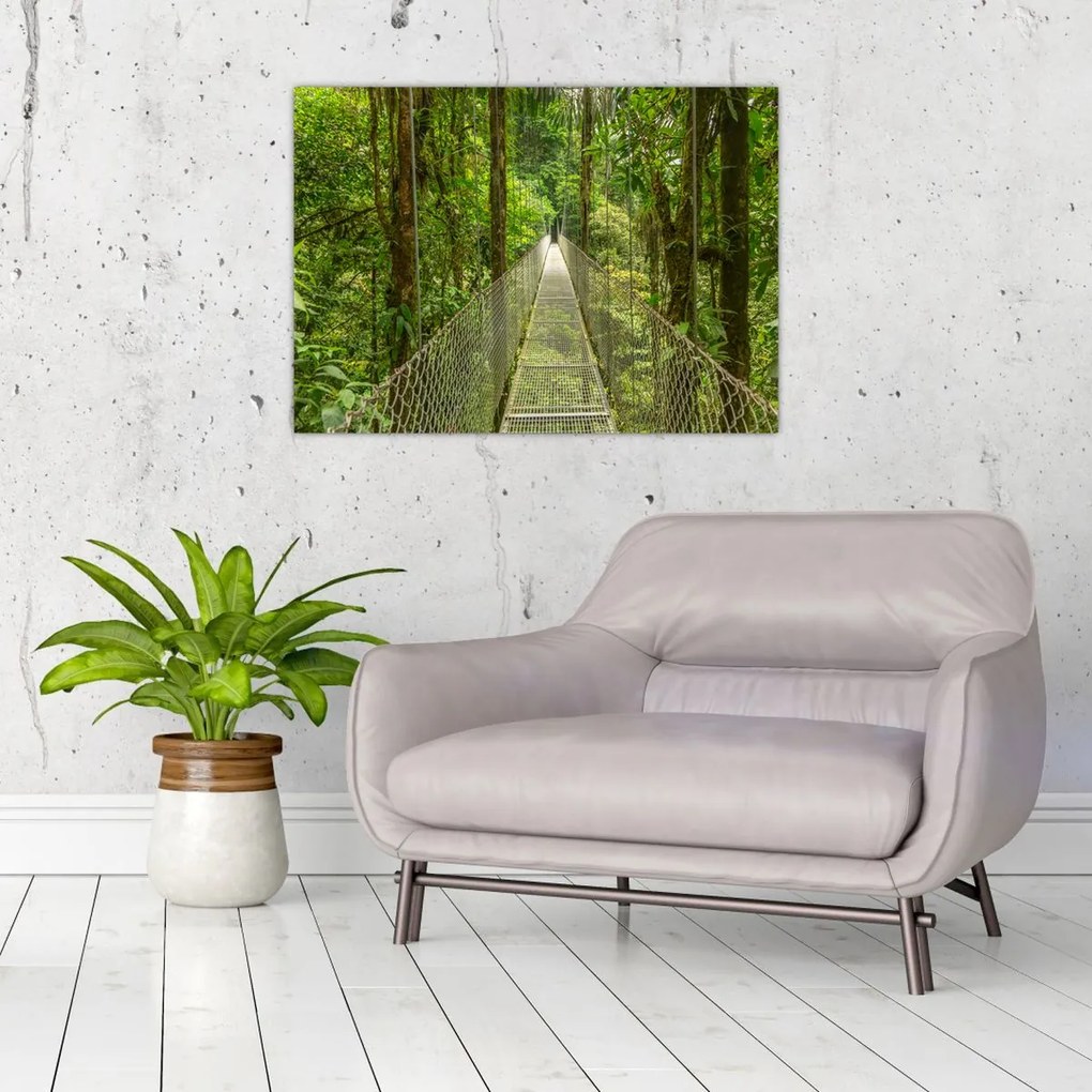 Tablou - Pod suspendat (70x50 cm)