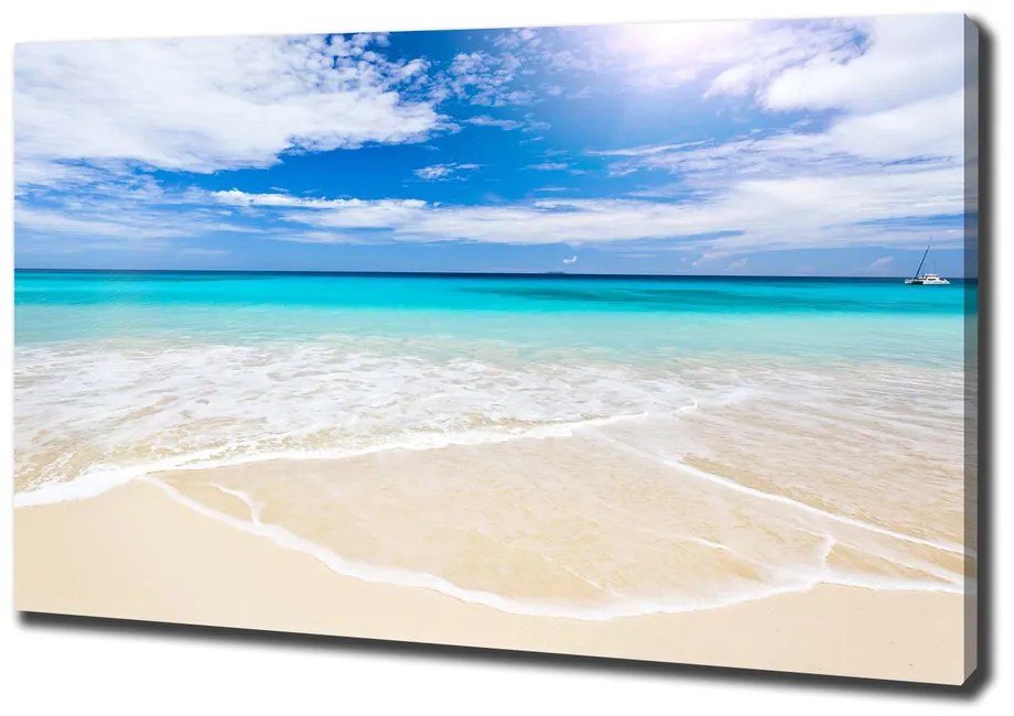 Print pe pânză Plaja tropicala
