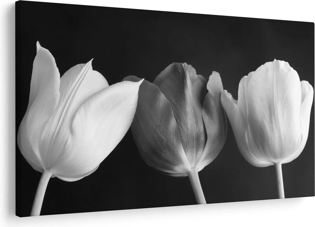 Tablou - Lalele alb negre (90x60 cm)