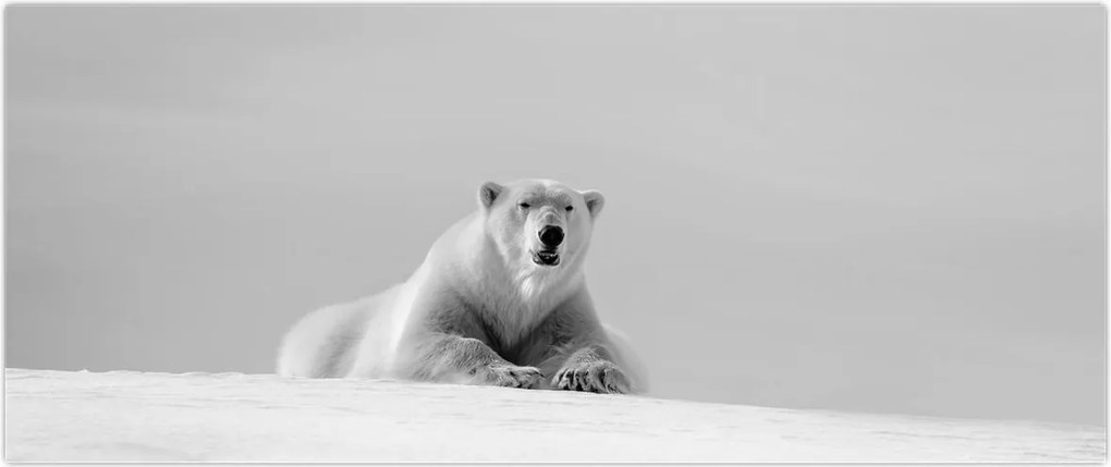 Tablou - Ursul polar (120x50 cm)