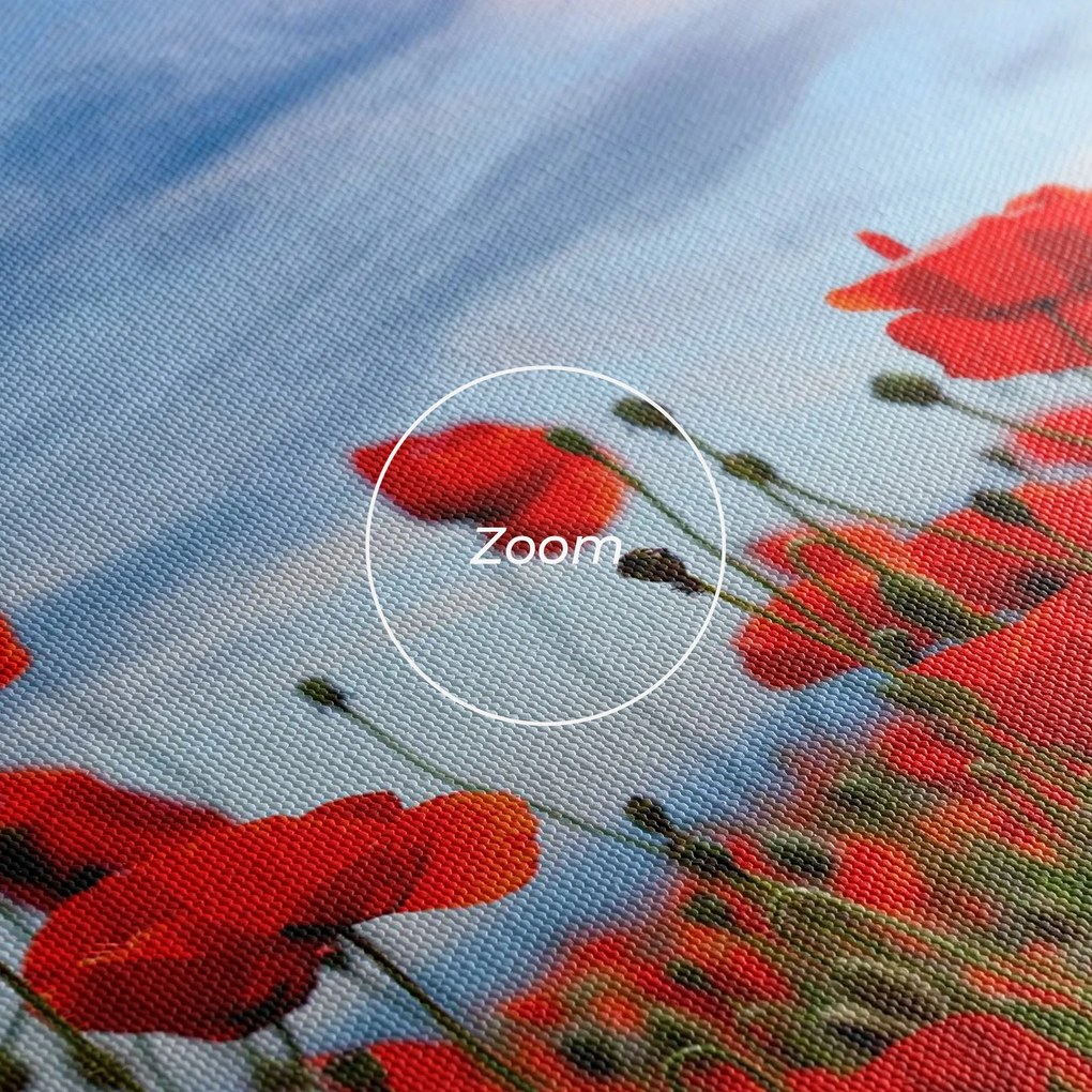Tablou Canvas, 100x200cm, Dormitor si Living, Flori, Maci, Poppy Field