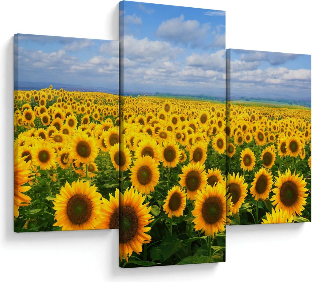 Tablou cu lan de floarea soarelui (90x60 cm)