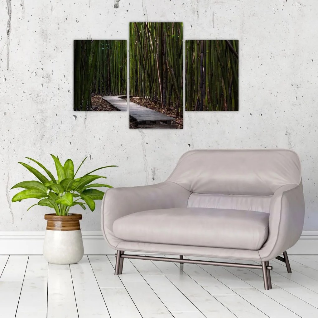 Tablou - Între bambus (90x60 cm)
