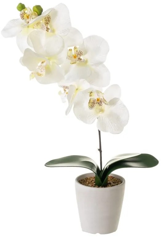 Plantă artificială (înălțime 45 cm) Orchid – Casa Selección