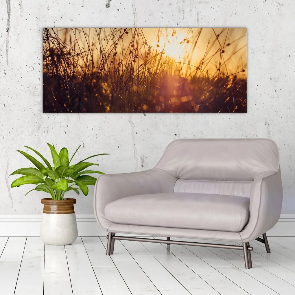 Tablou - Câmp la apus de soare (120x50 cm)