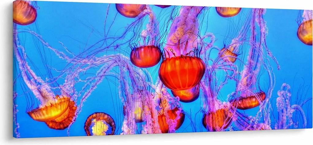 Tablou cu meduse în mare (120x50 cm)