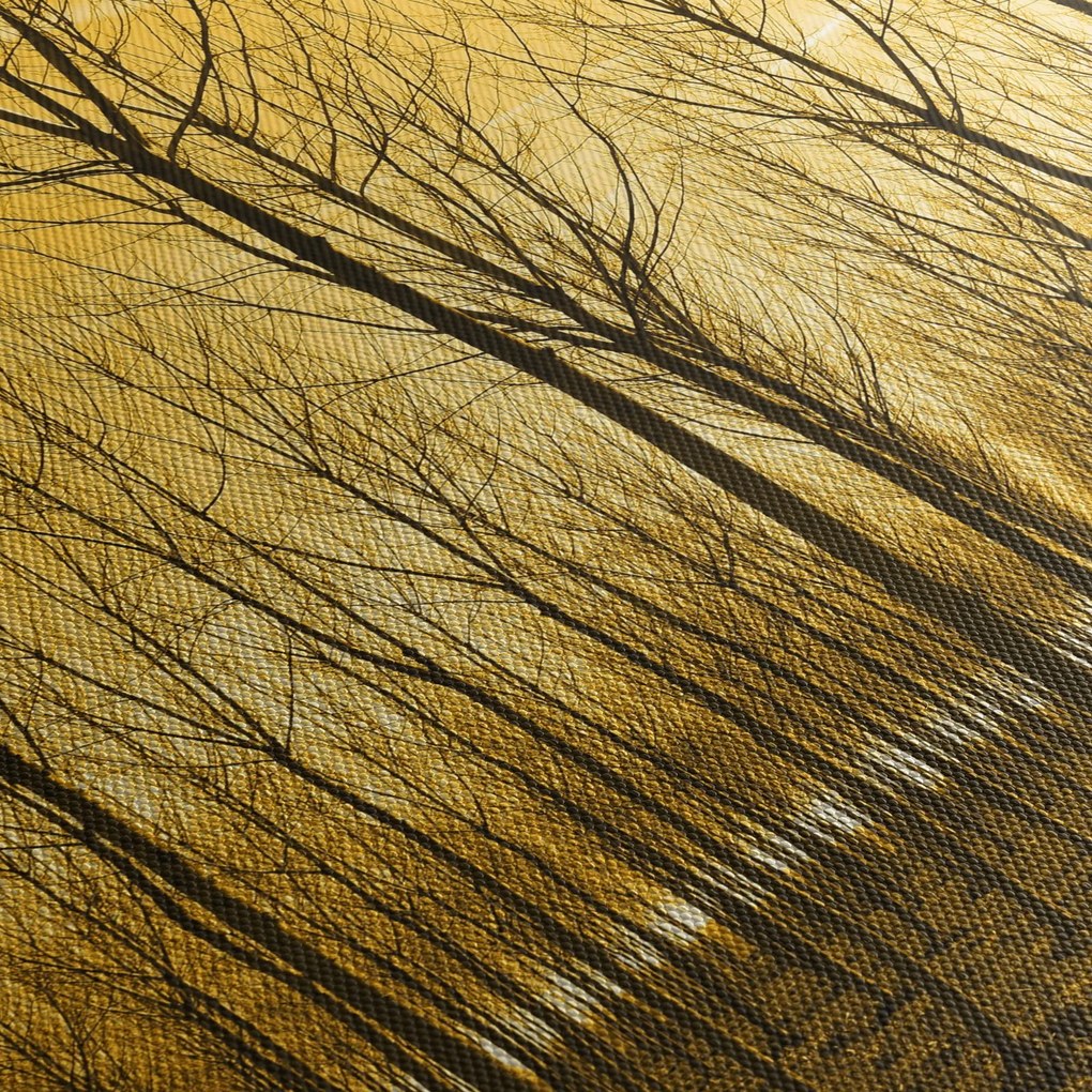 Tablou cu pădure în apus de soare (150x105 cm)