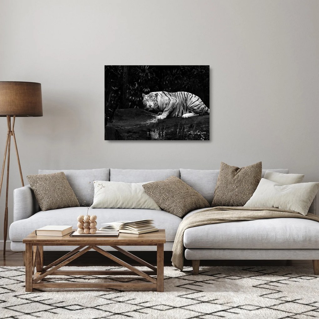 Tablou pe sticlă - Tigru alb, alb-negru (70x50 cm)