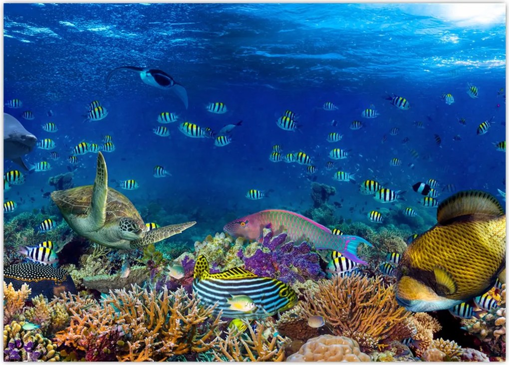 Tablou - Ocean (70x50 cm)