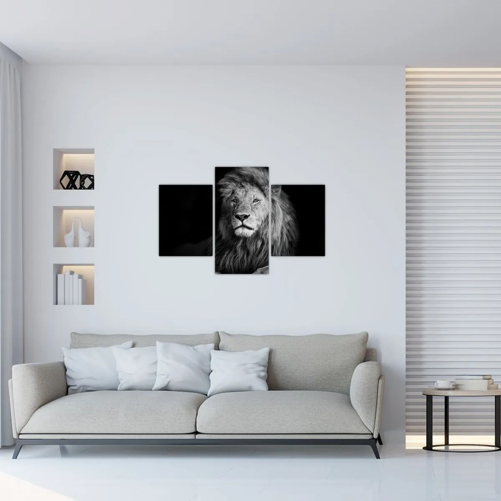 Tablou - Leu, alb și negru (90x60 cm)