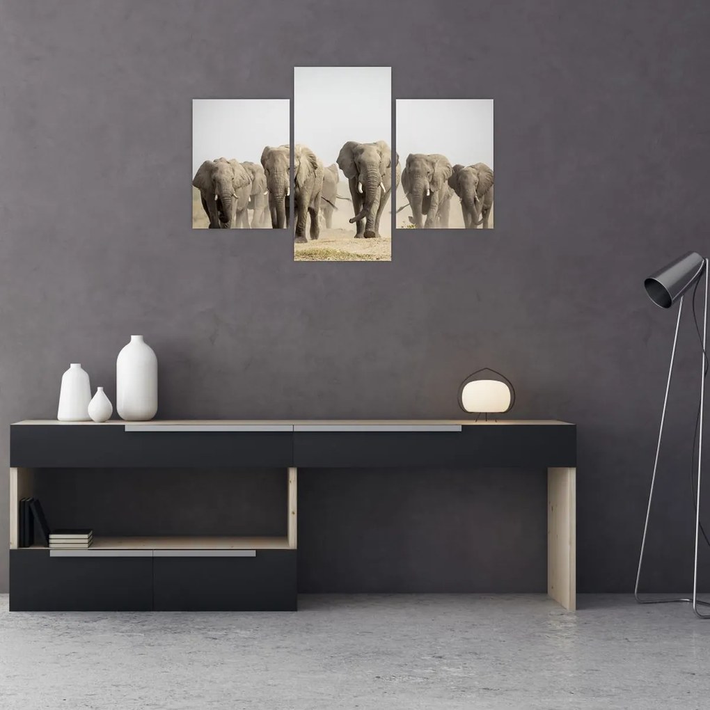Tablou - Turmă de elefanți (90x60 cm)
