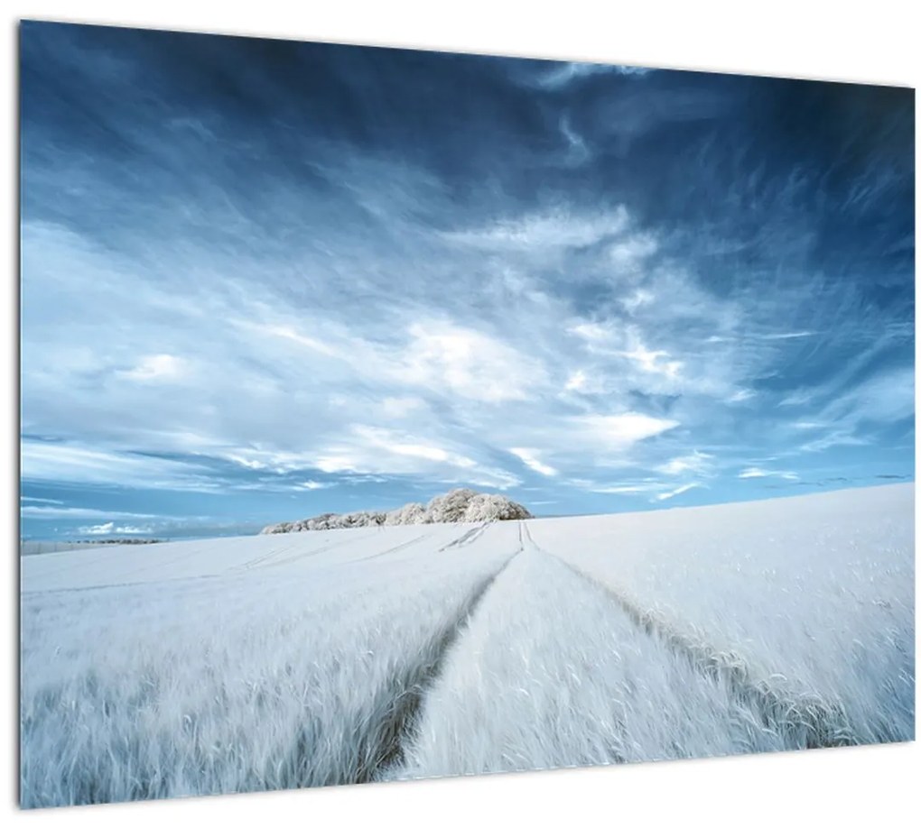 Tablou - Câmp (70x50 cm)