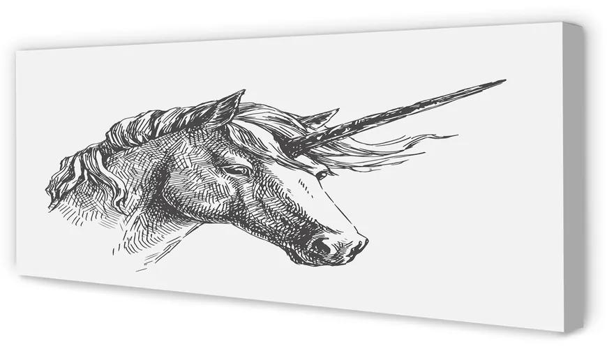 Tablouri canvas desen unicorn