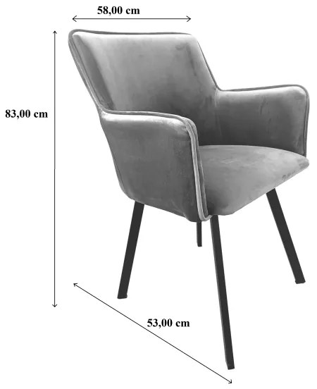 Scaun de sufragerie AMELIA gri