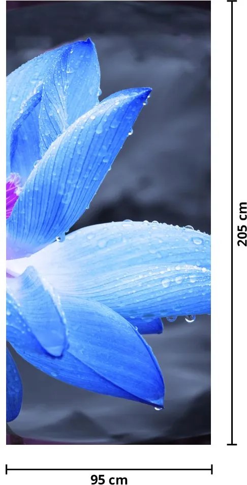 Fototapet pentru ușă - floare în prim plan (95x205cm)