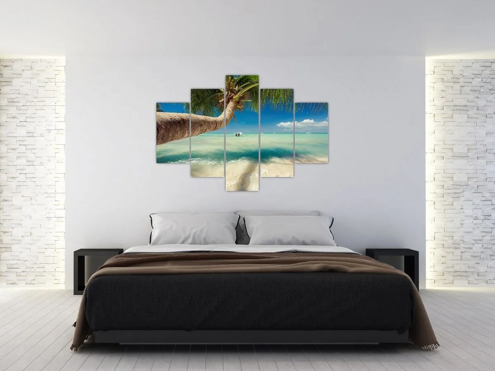 Tablou - Mare curată cu palmier (150x105 cm)
